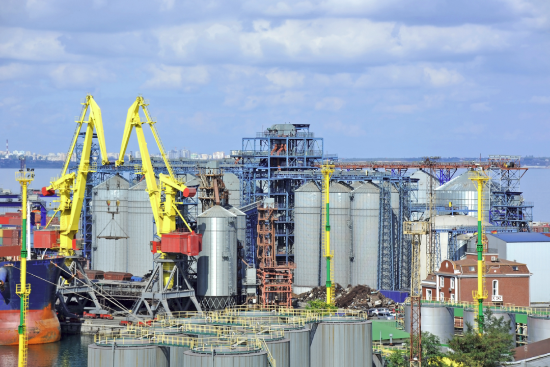 Ukraine makes progress with grain exports￼